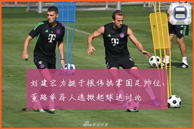 刘建宏力挺于根伟执掌国足帅位，董路举荐人选掀起球迷讨论