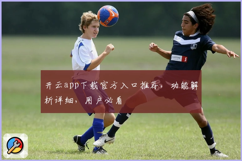 开云app下载官方入口推荐,功能解析详细,用户必看